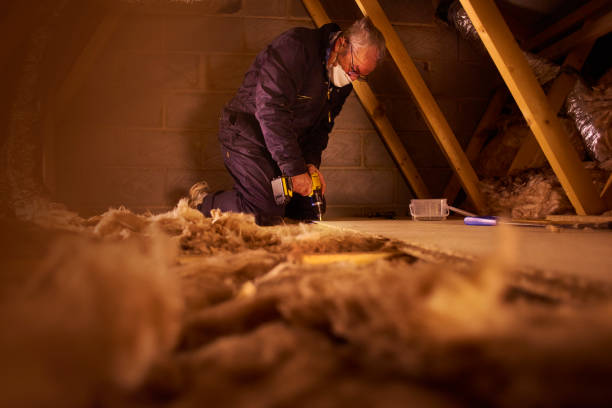 Best Basement Insulation  in Barre, VT